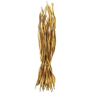 offre spéciale Naturosphère Fagot D’herbe Fire Grass – 35 Cm. 8