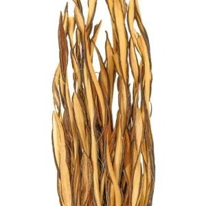 offre spéciale Naturosphère Fagot D’herbe Fire Grass – 35 Cm. 10